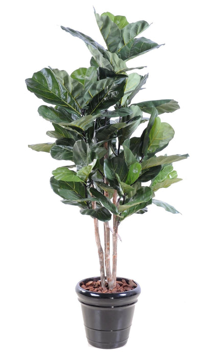Pianta Da Interno Artificiale Ficus Lyrata 190 Cm