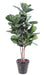 Pianta Da Interno Artificiale Ficus Lyrata 190 Cm