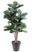 Pianta Da Interno Artificiale Ficus Lyrata 190 Cm