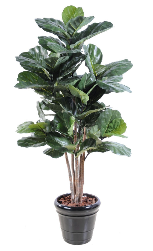 Pianta Da Interno Artificiale Ficus Lyrata 190 Cm