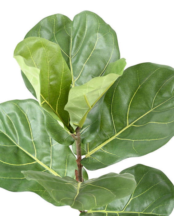 Pianta Da Interno Artificiale Ficus Lyrata 75 Cm