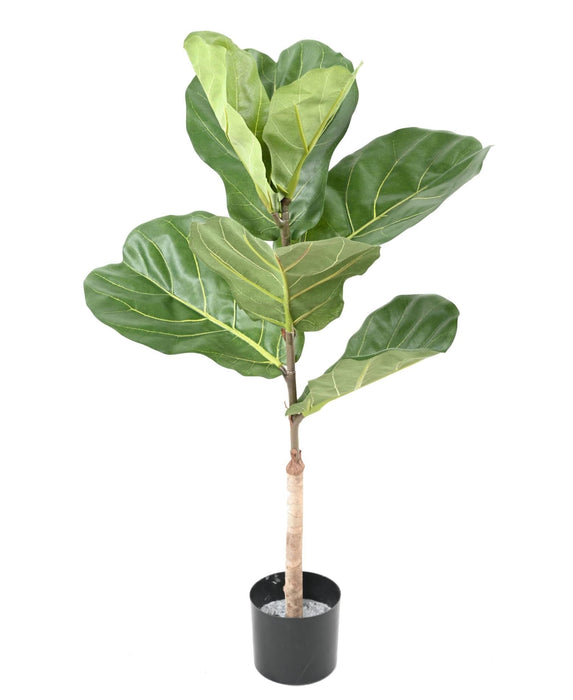 Pianta Da Interno Artificiale Ficus Lyrata 75 Cm