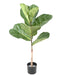 Pianta Da Interno Artificiale Ficus Lyrata 75 Cm
