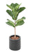 Pianta Da Interno Artificiale Ficus Lyrata 75 Cm