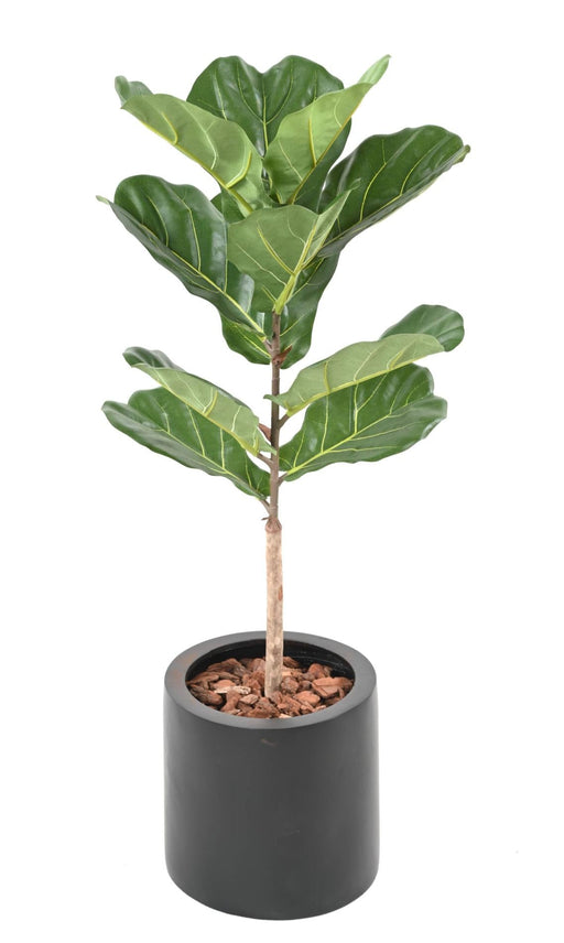 Pianta Da Interno Artificiale Ficus Lyrata 75 Cm