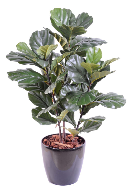 Ficus Lyrata Artificiale Pianta Verde Da Interno 90 Cm
