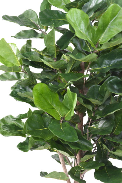 Pianta Decorativa Artificiale Ficus Lyrata H.180Cm