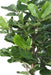 Pianta Decorativa Artificiale Ficus Lyrata H.180Cm