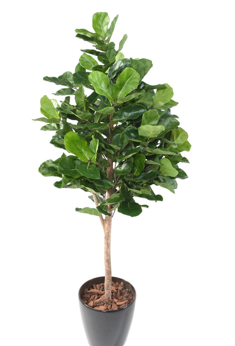 Pianta Decorativa Artificiale Ficus Lyrata H.180Cm