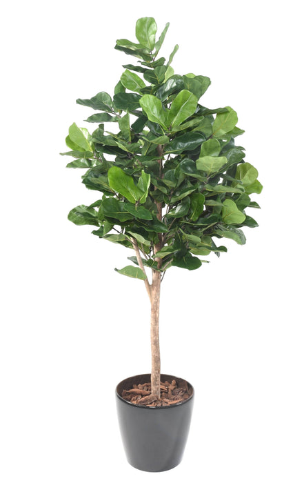 Pianta Decorativa Artificiale Ficus Lyrata H.180Cm