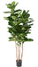 Ficus Lyrata Pianta Verde Artificiale Da Interno 210Cm