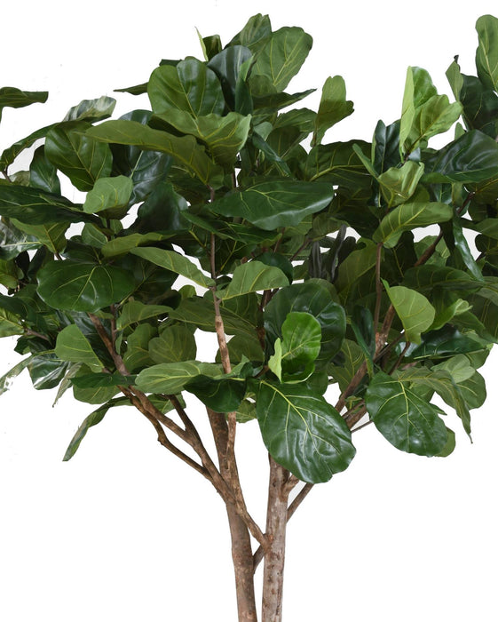 Ficus Lyrata Artificiale Per Interni 340 Cm