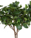 Ficus Lyrata Artificiale Per Interni 340 Cm