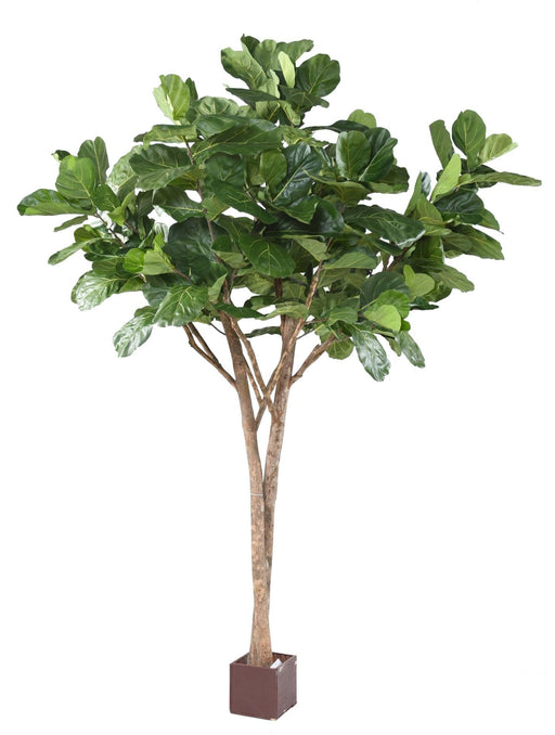 Ficus Lyrata Artificiale Per Interni 340 Cm