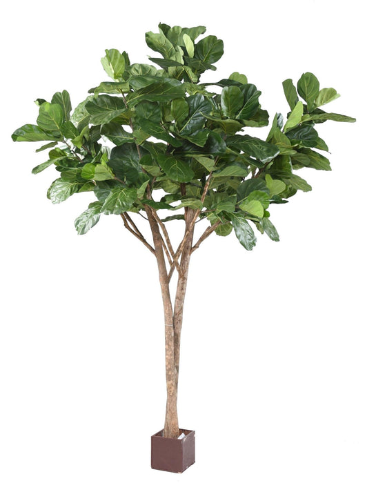 Ficus Lyrata Artificiale Per Interni 340 Cm