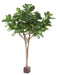 Ficus Lyrata Artificiale Per Interni 340 Cm