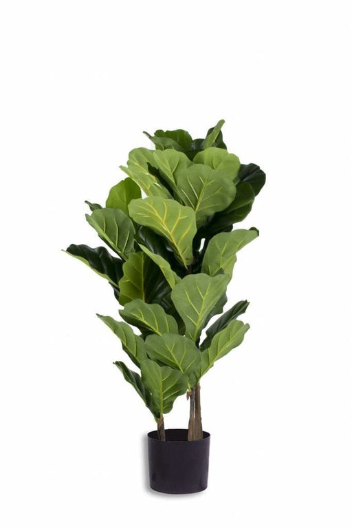 Ficus Lyrata - Grande Pianta Artificiale