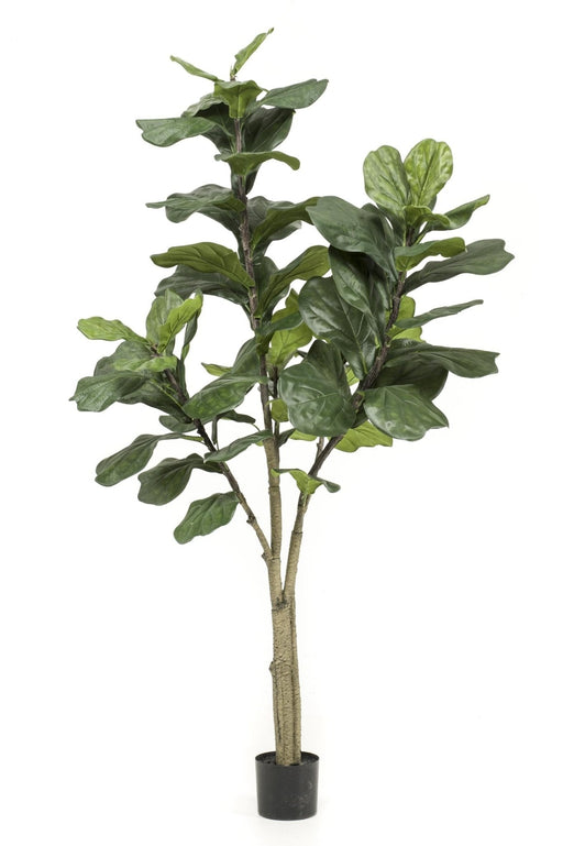 Pianta Artificiale Ficus Lyrata H180Cm, Ø17Cm