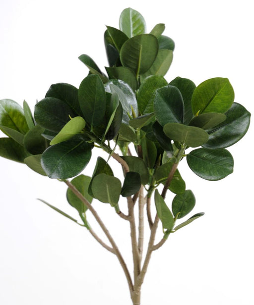 Ficus Panda Artificiale 40 Cm Per Decorazioni Floreali