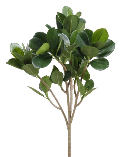 Ficus Panda Artificiale 40 Cm Per Decorazioni Floreali