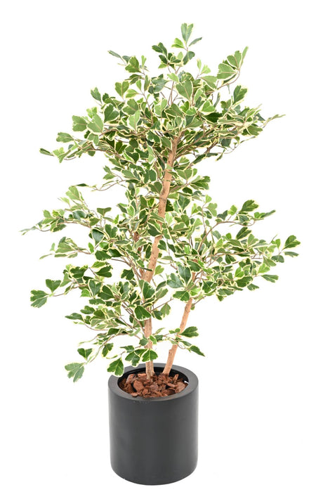 Pianta Da Interno Artificiale Ficus Triangularis H120 Cm