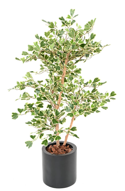 Pianta Da Interno Artificiale Ficus Triangularis H120 Cm