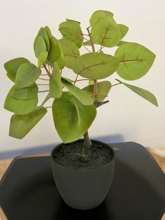 Ficus Tropica - Pianta Verde Artificiale