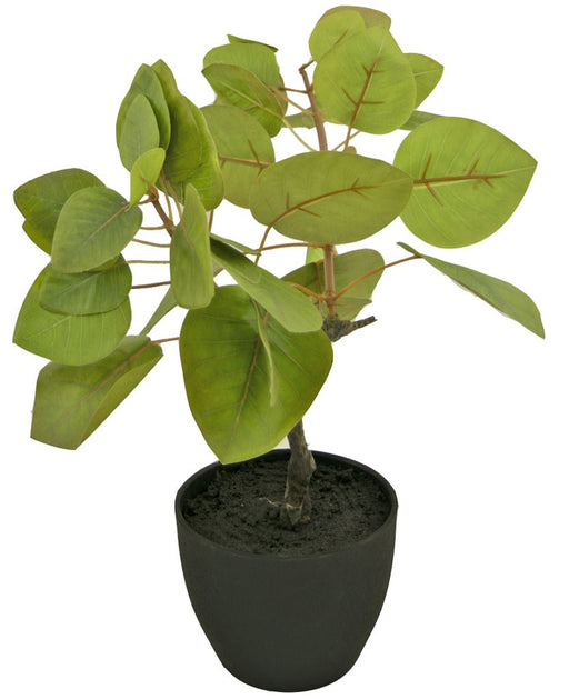 Ficus Tropica - Pianta Verde Artificiale