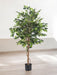 Ficus Verde - Albero Artificiale