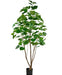 Ficus Artificiale