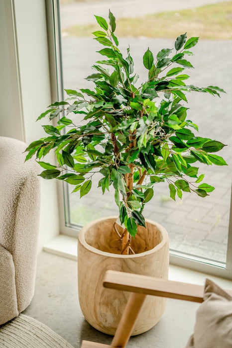 Ficus Benjamina - Albero Artificiale