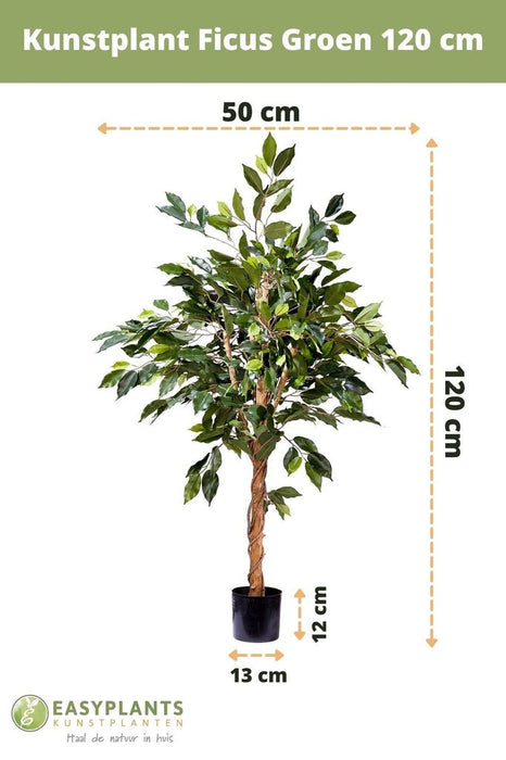 Ficus Benjamina - Albero Artificiale