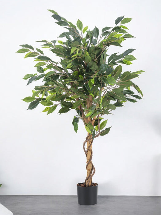 Ficus Benjamina - Albero Artificiale