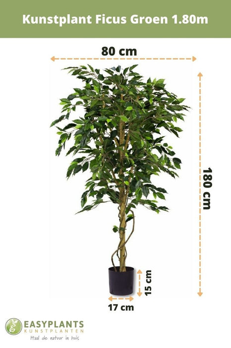 Ficus Benjamina - Albero Artificiale