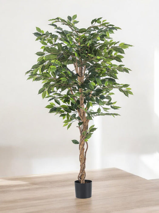 Ficus Benjamina - Albero Artificiale