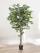 Ficus Benjamina - Albero Artificiale