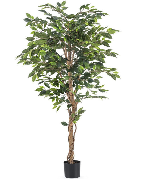 Ficus Benjamina - Albero Artificiale