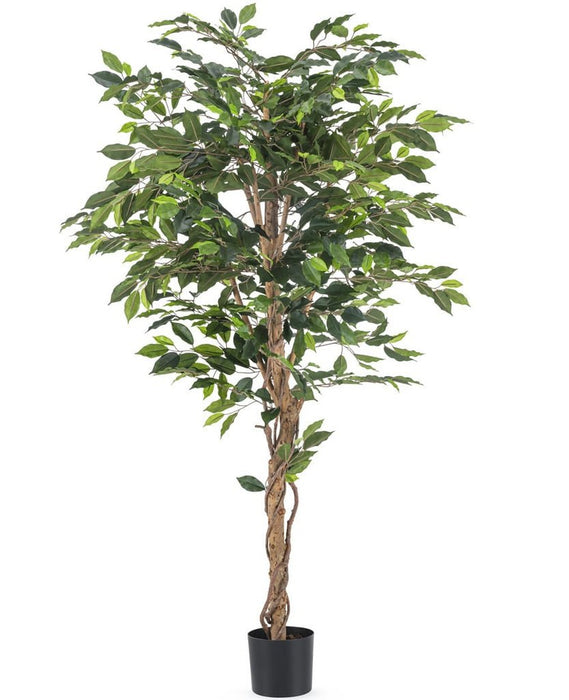 Ficus Benjamina - Albero Artificiale