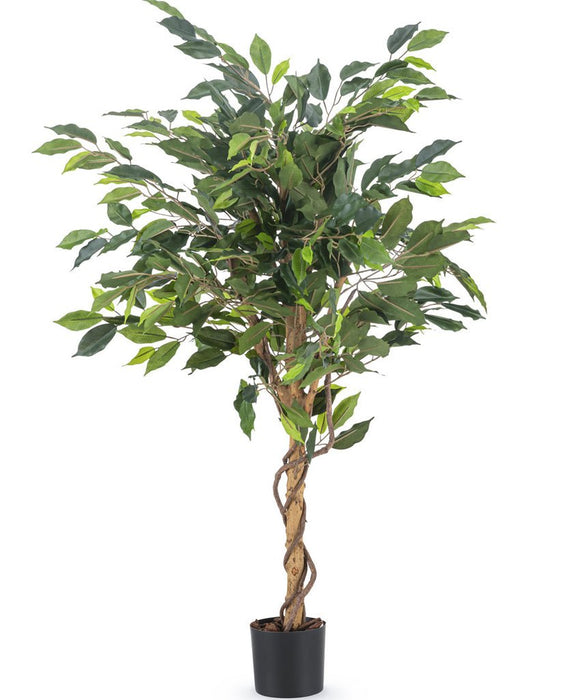 Ficus Benjamina - Albero Artificiale
