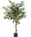 Ficus Benjamina - Albero Artificiale