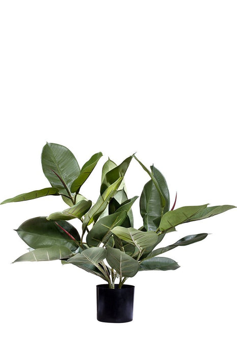Ficus Elastica Gomma - Pianta Verde Artificiale