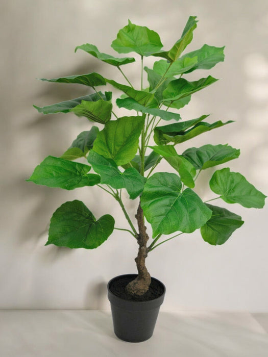 Ficus - Grande Pianta Artificiale