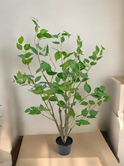 Ficus - Grande Pianta Artificiale