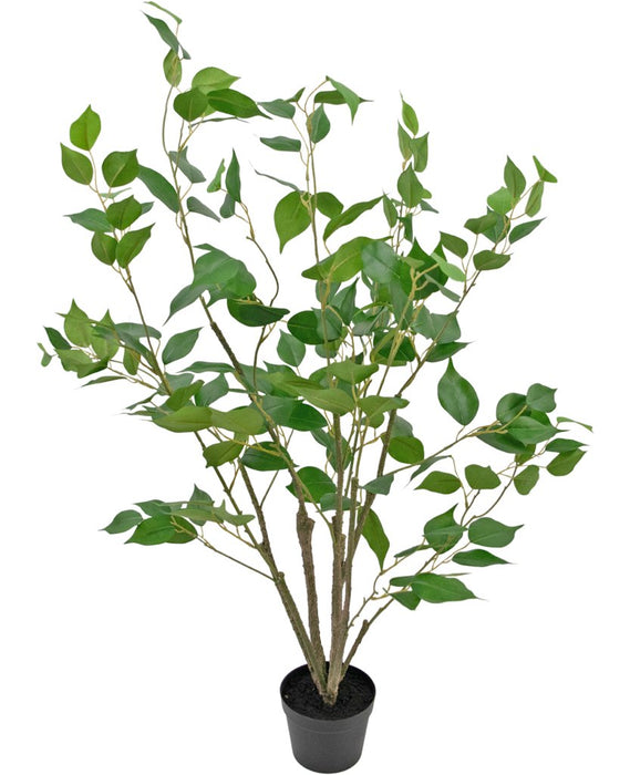 Ficus - Grande Pianta Artificiale
