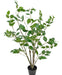 Ficus - Grande Pianta Artificiale