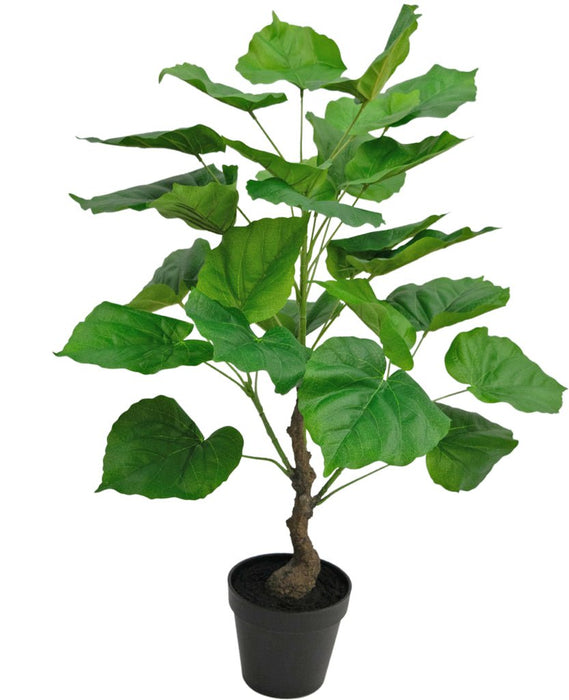 Ficus - Grande Pianta Artificiale