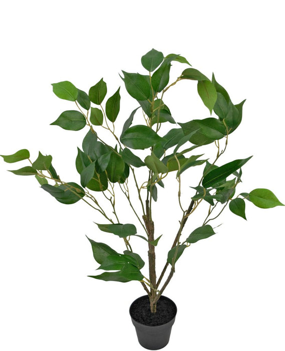 Ficus - Grande Pianta Artificiale