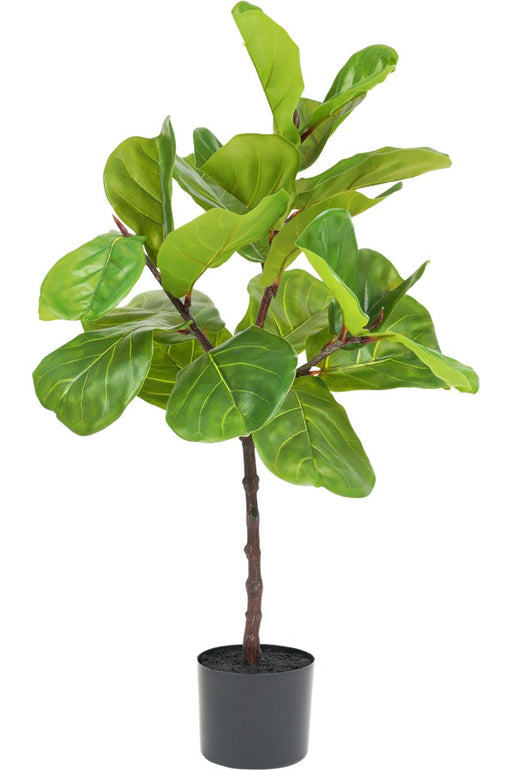 Ficus Lyrata - Grande Pianta Artificiale