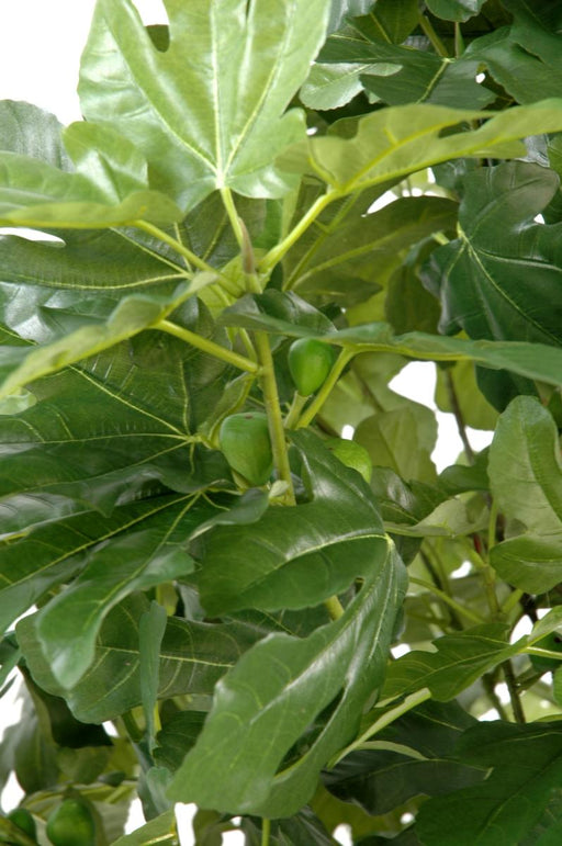 Albero Di Fico Artificiale Con Frutti 170 Cm Per Interni