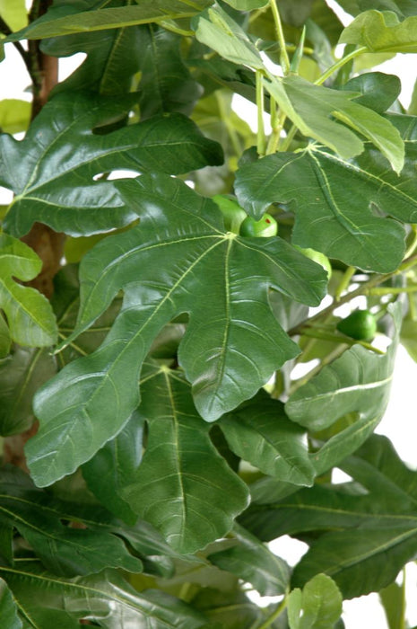 Albero Di Fico Artificiale Con Frutti 170 Cm Per Interni